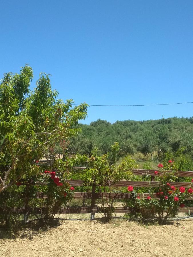 Eden Garden Villa Near Knossos Skalanion Exterior foto